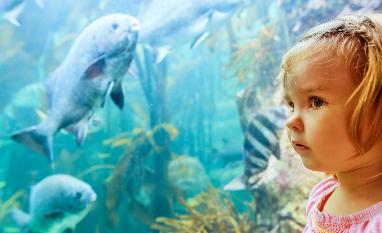 Kleines Mädchen vor einem großen Aquarium mit verschiedenen Fischen im Erlebnispark Meeresaquarium in Zella-Mehlis